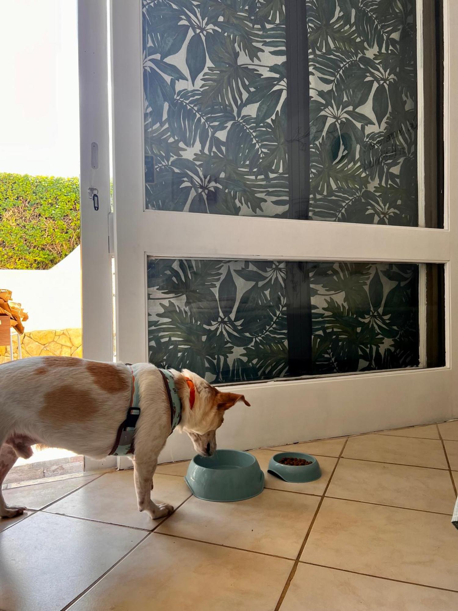 Studio Albufeira Jardim T0 ภายนอก รูปภาพ